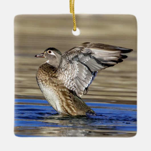 Wood Duck flapte haar vleugels Keramisch Ornament (Voorkant)