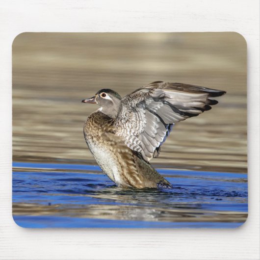 Wood Duck flapte haar vleugels Muismat (Voorkant)
