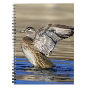 Wood Duck flapte haar vleugels Notitieboek