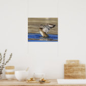 Wood Duck flapte haar vleugels Poster (Keuken)