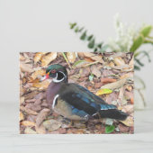 Wood Duck Flat Kaart (Staand voorkant)