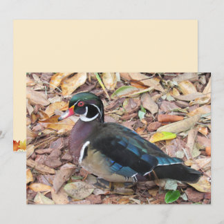 Wood Duck Flat Kaart