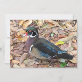 Wood Duck Flat Kaart (Voorkant)