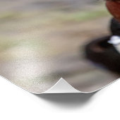 Wood Duck Foto Afdruk (Hoek)