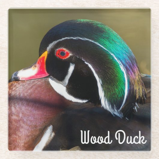 Wood Duck Glazen Onderzetter (Voorkant)