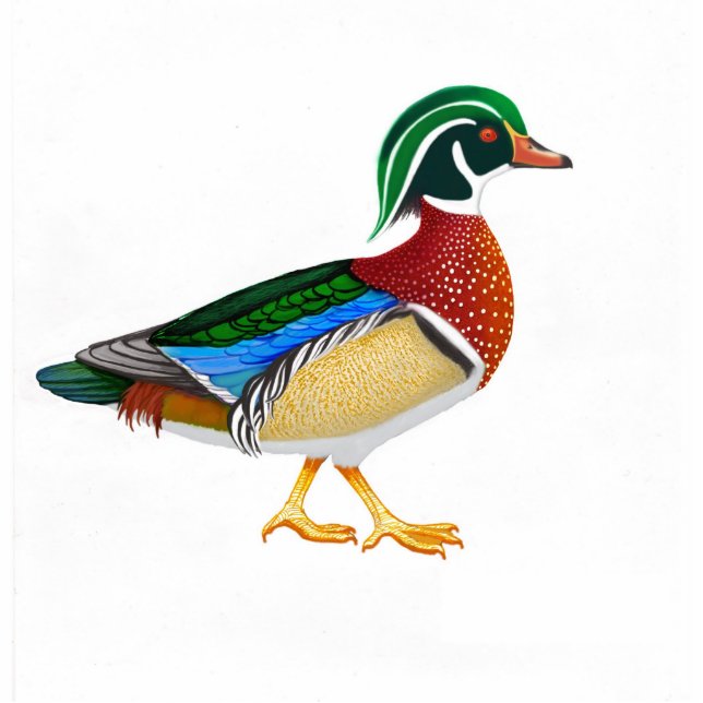 Wood Duck Holiday Ornament Fotobeeldje Ornament (Voorkant)