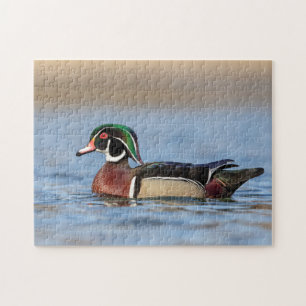 Wood Duck in de Hudson Valley Legpuzzel