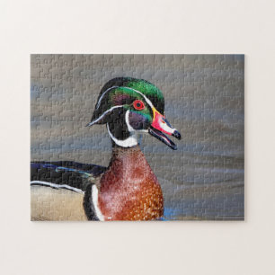 Wood Duck in de Hudson Valley Legpuzzel