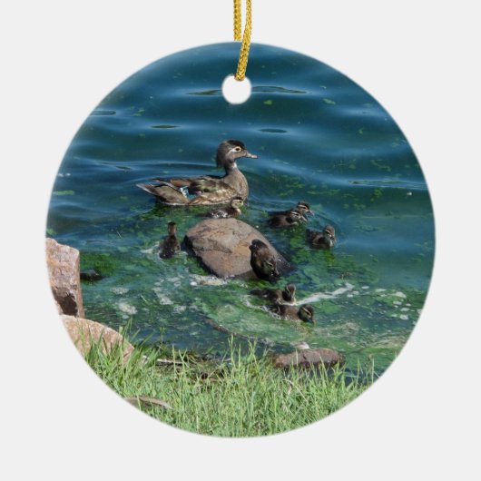Wood Duck Keramisch Ornament (Voorkant)