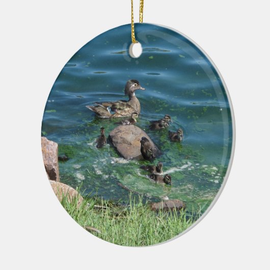 Wood Duck Keramisch Ornament (Links)