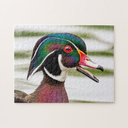 Wood Duck Legpuzzel (Horizontaal)
