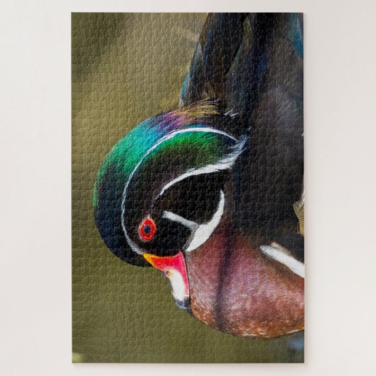 Wood Duck Legpuzzel (Verticaal)