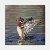 Wood Duck Magneet (Voorkant)