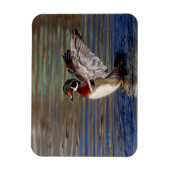 Wood Duck Magneet (Verticaal)
