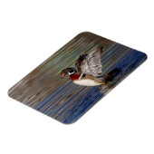 Wood Duck Magneet (Linkerzijde)