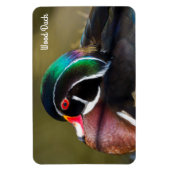 Wood Duck Magneet (Verticaal)
