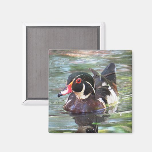 Wood Duck Magnet (Voorkant / Achterkant)