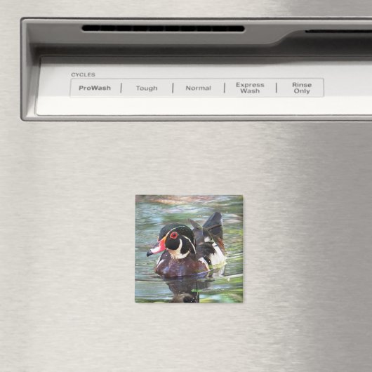 Wood Duck Magnet (Insitu (Vaatwasser))