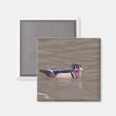 Wood Duck Magnet (Voorkant / Achterkant)
