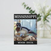 Wood Duck (Mississippi) Briefkaart (Staand voorkant)