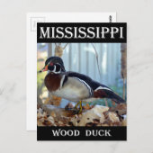 Wood Duck (Mississippi) Briefkaart (Voorkant / Achterkant)
