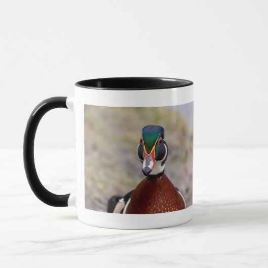 Wood Duck Mok (Links)