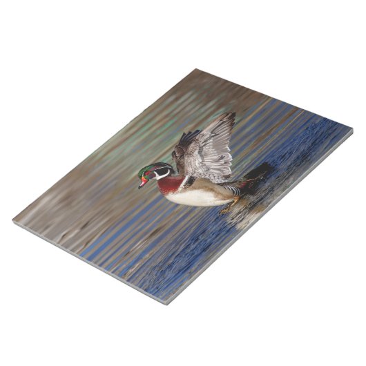 Wood Duck Notitieblok (Schuin)