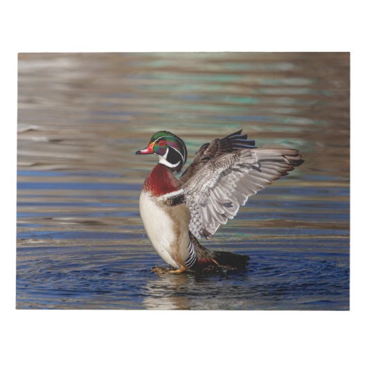 Wood Duck Notitieblok (Voorkant)