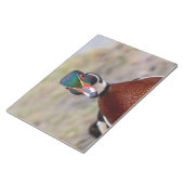 Wood Duck Notitieblok (Schuin)