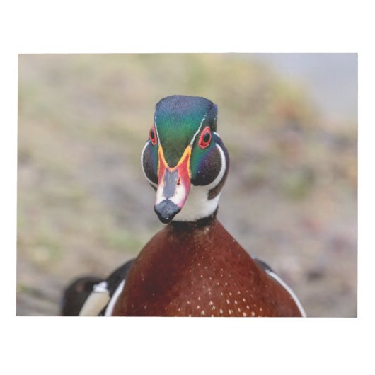 Wood Duck Notitieblok (Voorkant)