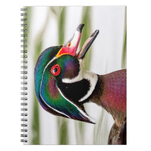 Wood Duck Notitieboek