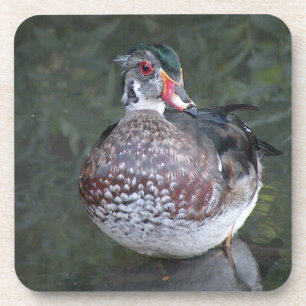 Wood Duck onderzetter