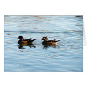 Wood Duck Pair (Voorkant Horizontaal)