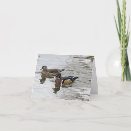 Wood Duck Pair Kaart