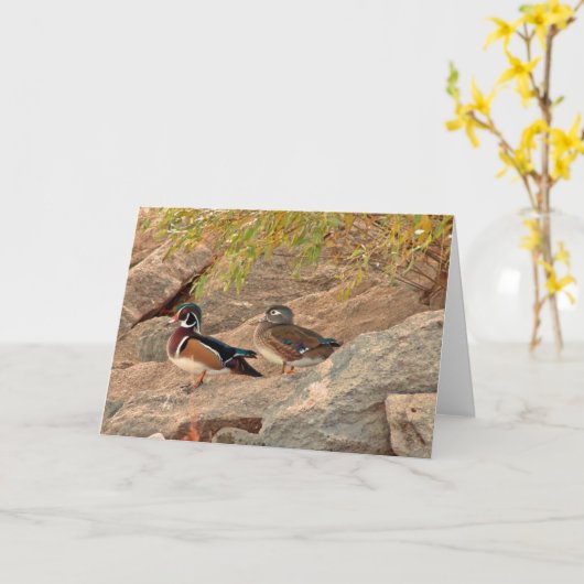 Wood Duck Pair Kaart (Gele Bloem)