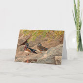Wood Duck Pair Kaart (Voorkant)