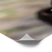 Wood Duck Poster (Hoek)