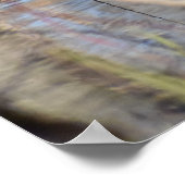 Wood Duck Poster (Hoek)