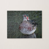 Wood Duck Puzzle Legpuzzel (Horizontaal)