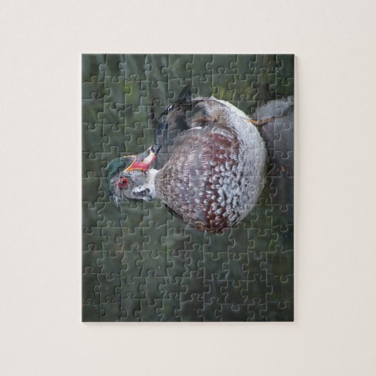 Wood Duck Puzzle Legpuzzel (Verticaal)