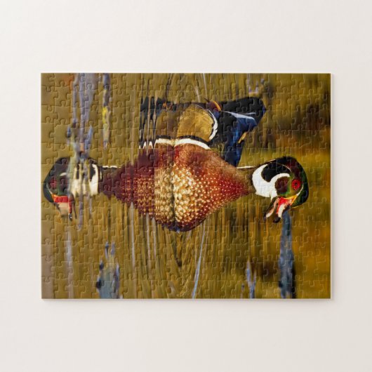 Wood Duck Puzzle Legpuzzel (Horizontaal)