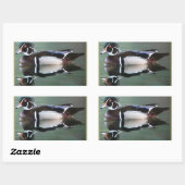 Wood Duck Reflection Stickers (Vel)