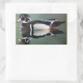 Wood Duck Reflection Stickers (Tas)