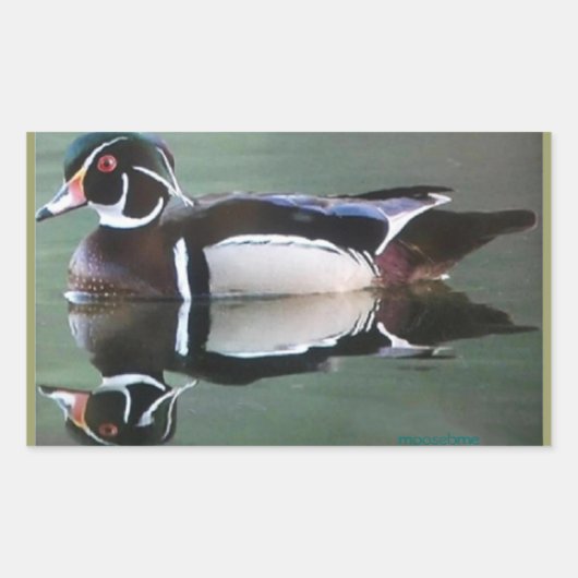Wood Duck Reflection Stickers (Voorkant)