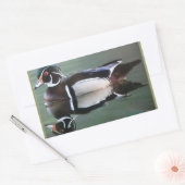 Wood Duck Reflection Stickers (Envelop)