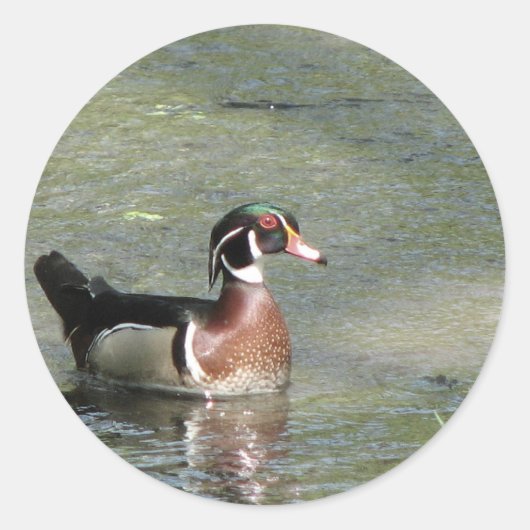 Wood Duck Ronde Sticker (Voorkant)
