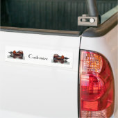 Wood Duck Thunder_Cove Bumpersticker (Op Truck)