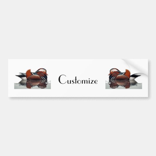 Wood Duck Thunder_Cove Bumpersticker (Voorkant)