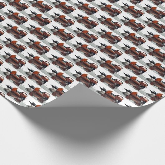 Wood Duck Thunder_Cove Cadeaupapier (Hoek)