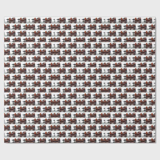 Wood Duck Thunder_Cove Cadeaupapier (Vlak)